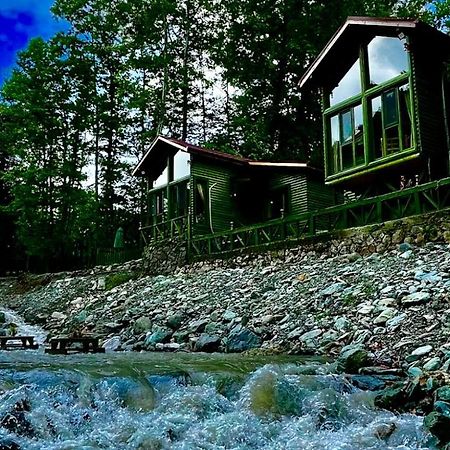Doga Su Minimal Evler Villa ซาพานจา ภายนอก รูปภาพ