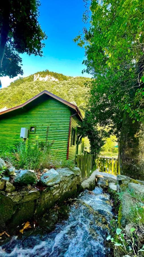 Doga Su Minimal Evler Villa ซาพานจา ภายนอก รูปภาพ